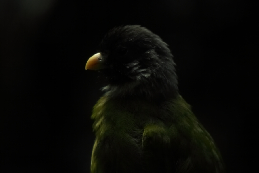 2013 09 20 HTP 09004